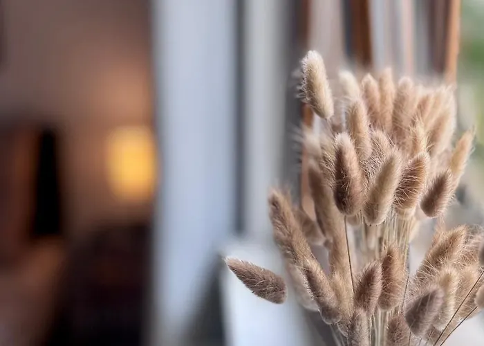 Design Im Alten Schloss Deidesheim